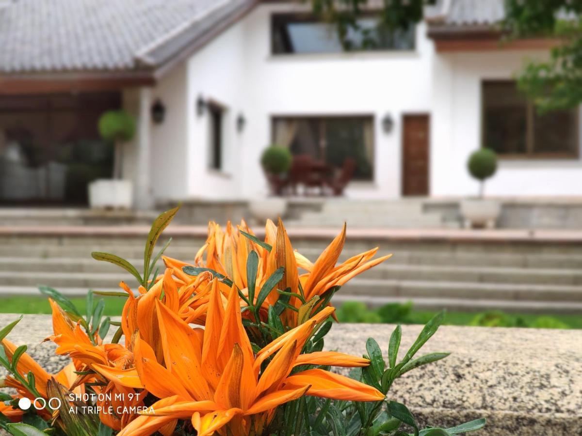 Villa Blanca Con Piscina A 15 Minutos De Toledo - Apartamentos Aloha Toledo Olias del Rey ภายนอก รูปภาพ