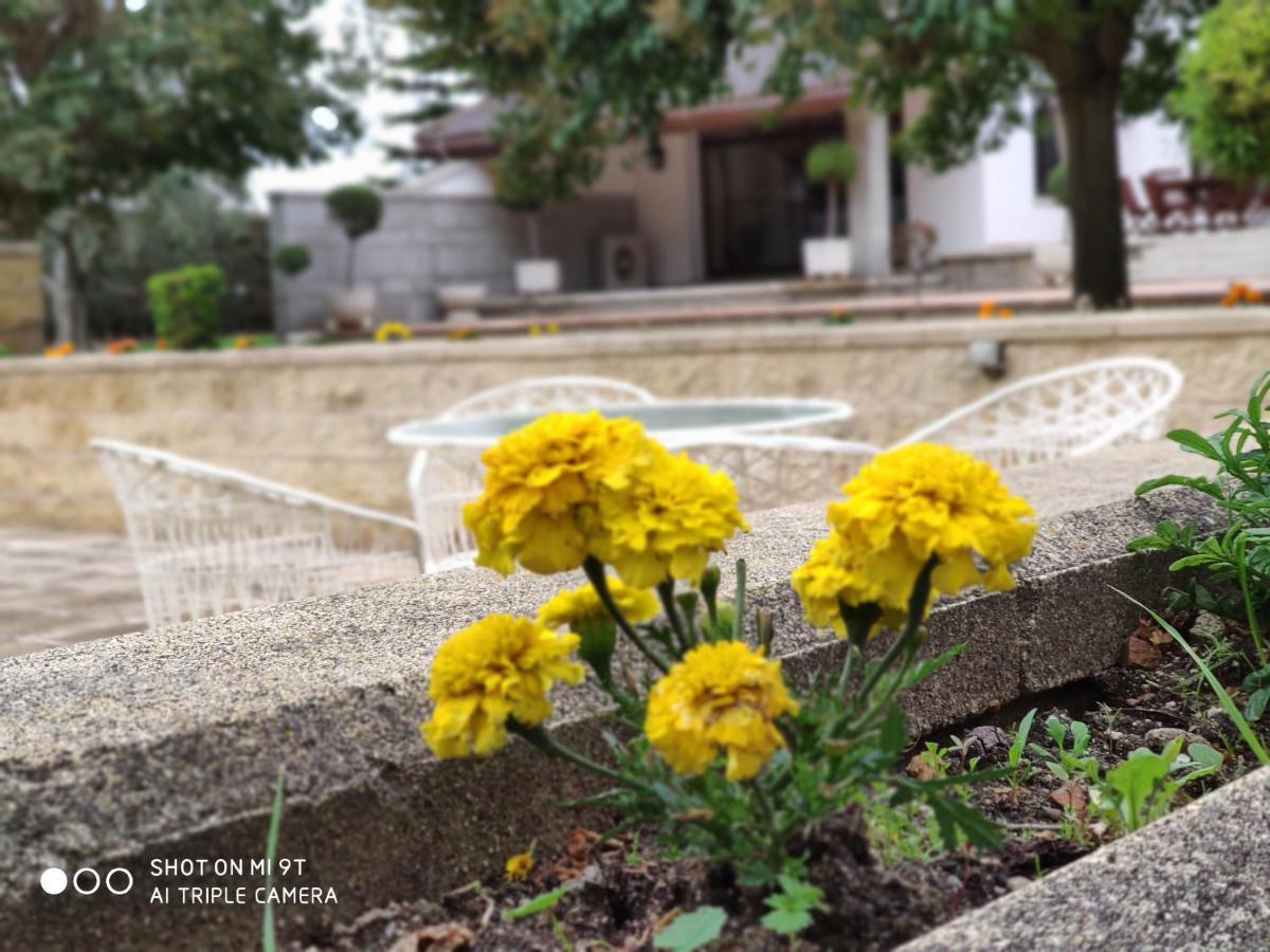 Villa Blanca Con Piscina A 15 Minutos De Toledo - Apartamentos Aloha Toledo Olias del Rey ภายนอก รูปภาพ